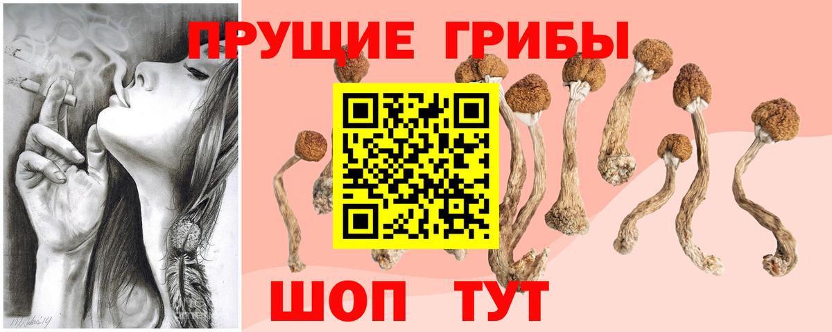 Баксан  Псилоцибиновые грибы мухоморы  Вход с VPN 